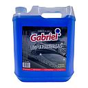 limpia parabrisas 5L GABRIEL
