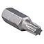 [PUTO1702] Punta torx T 30