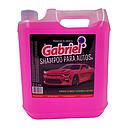 [SHDE3902] Shampoo de auto 5L GABRIEL